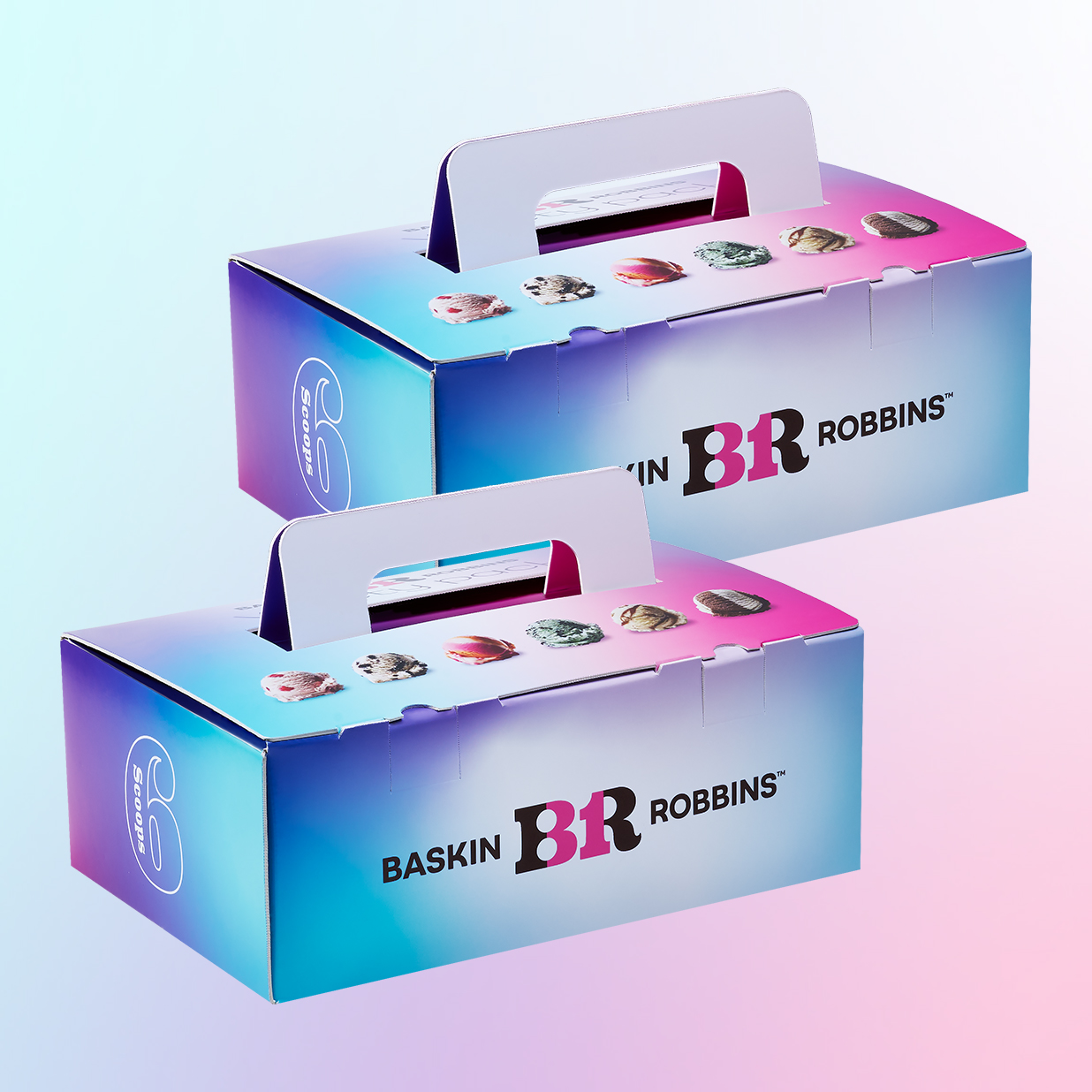 Variety Pack 12